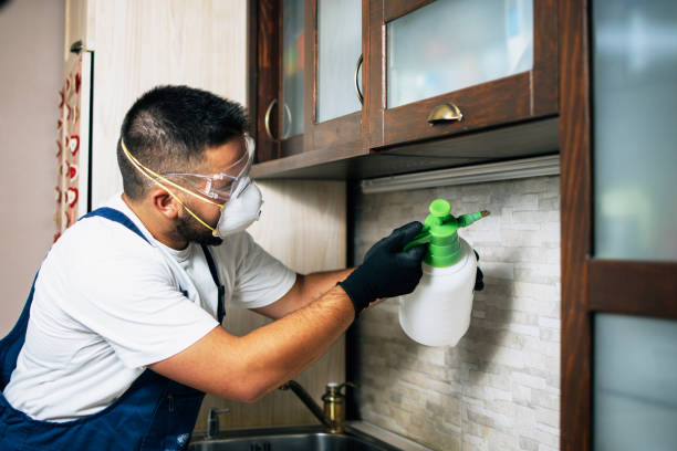 Best Pest Inspection Near Me  in Big Rapids, MI