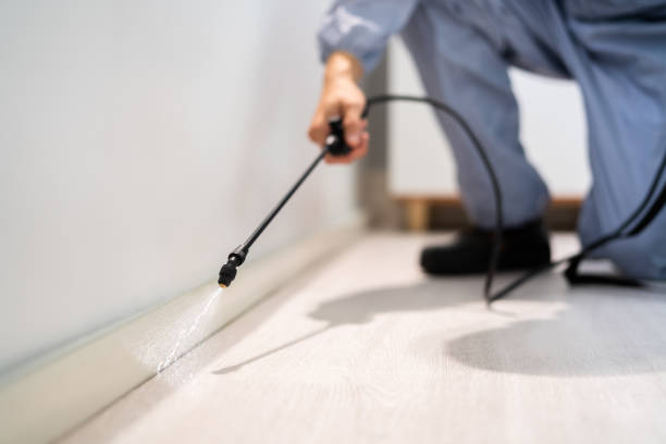 Best Commercial Pest Control Services  in Big Rapids, MI