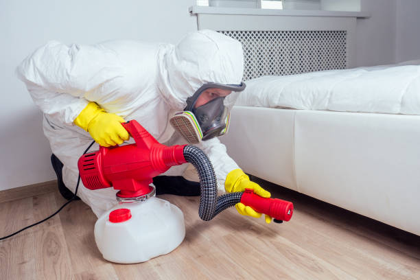Best Affordable Pest Control Services  in Big Rapids, MI
