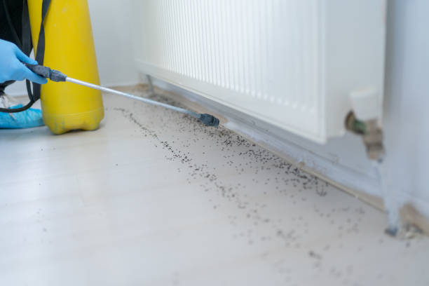 Best Exterminator Services  in Big Rapids, MI